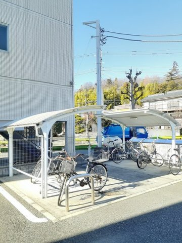 カドリフォリエのその他