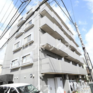 マルシャンドリタジマの画像
