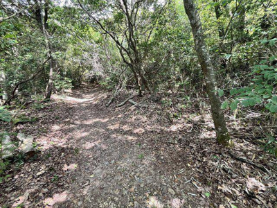 【外観】 | 三田市下相野　山林