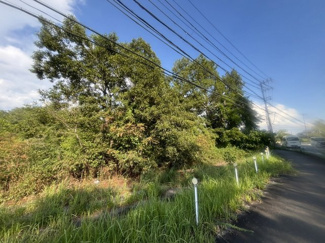  | 三田市下相野　山林