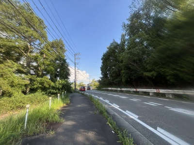  | 三田市下相野　山林