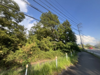  | 三田市下相野　山林