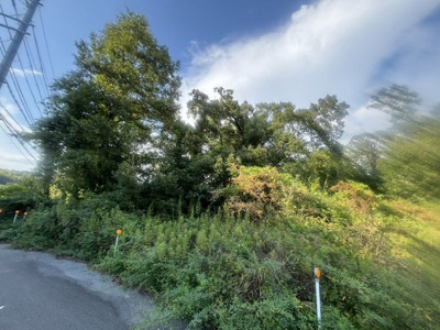  | 三田市下相野　山林