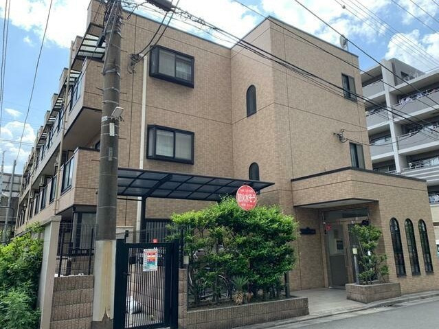 ラティーダ下並木の画像