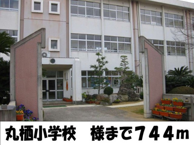 【周辺】 | バンビーノ　Ⅰ | 丸栖小学校様まで744m