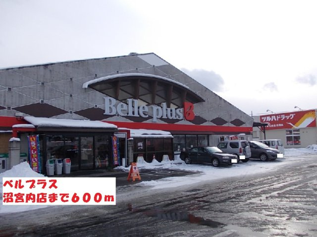 カーサプラシードの周辺|ベルプラス沼宮内店まで600m