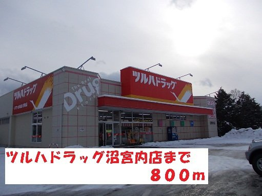 カーサプラシードの周辺|ツルハドラッグ沼宮内店まで800m