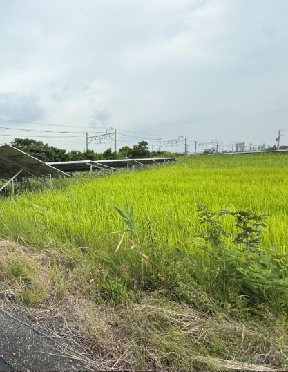 【】の画像