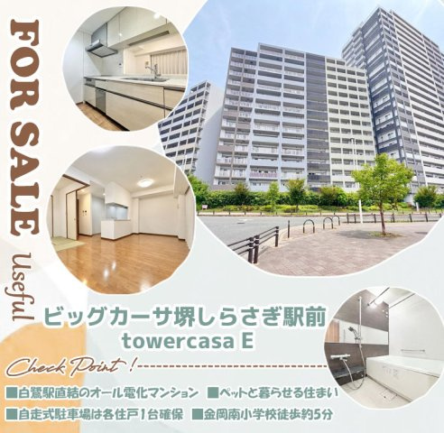 ビッグカーサ堺しらさぎ駅前 towercasa Eの画像
