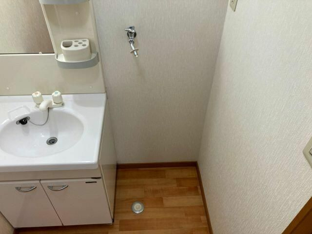 ドミールの洗面所