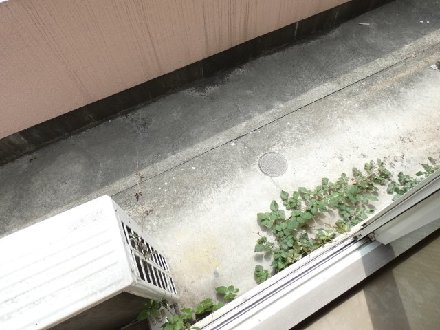 【その他】