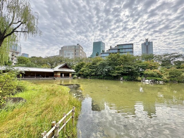 ルシェール赤坂の展望|ルシェール赤坂：眺望画像です！