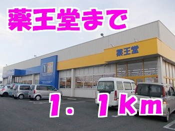 パークサイドグレイシァスの周辺|薬王堂まで1100m