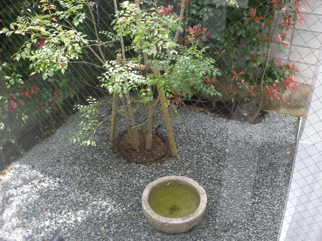 ＧＡＬＬＥＲＩＡ甲子園口のその他