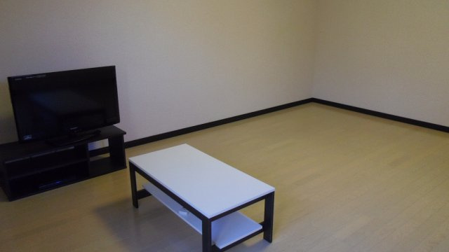 レオネクストクアドリフォリオのその他