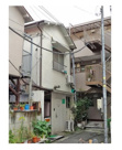 グリーンハウスの画像
