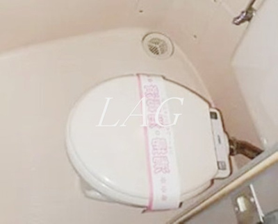 【トイレ】 | シャローム国分寺 | トイレです。