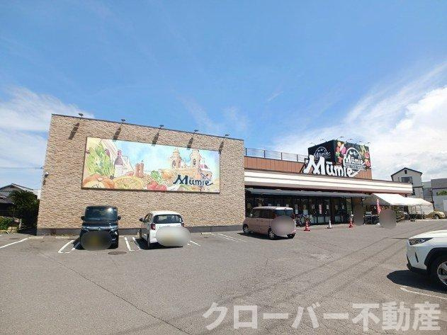 ディアコート林Ⅱの周辺|ムーミー林店さんまで600m