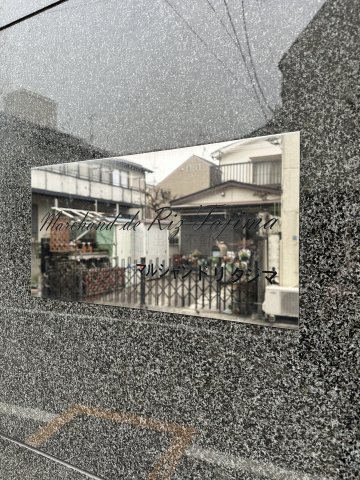 マルシャンドリタジマのその他