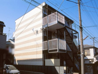外観もきれいです