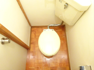 落ち着いた色調のトイレです