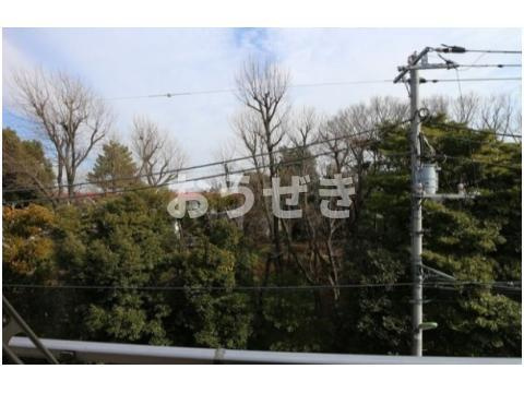 フラット緑泉公園の展望