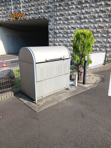プラムのその他