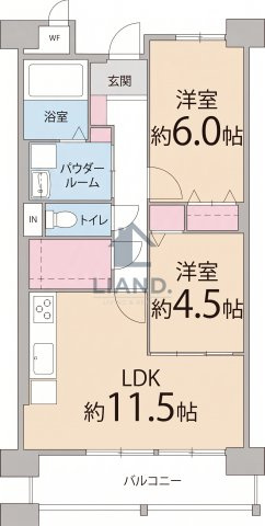 ネクスト吉塚　吉塚小学校区の間取り|ネクスト吉塚
