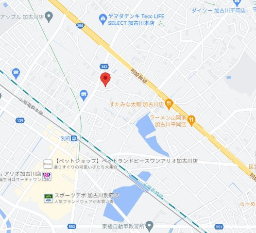ディアエスタ・ミオ別府ラフィナス　5階の地図