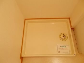 フィールドパレスＶのその他