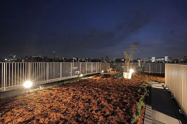 メイクスデザイン清澄白河アジールコートの庭|屋上庭園