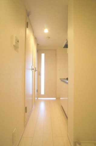 さいたま市中央区下落合５丁目の賃貸マンションの玄関