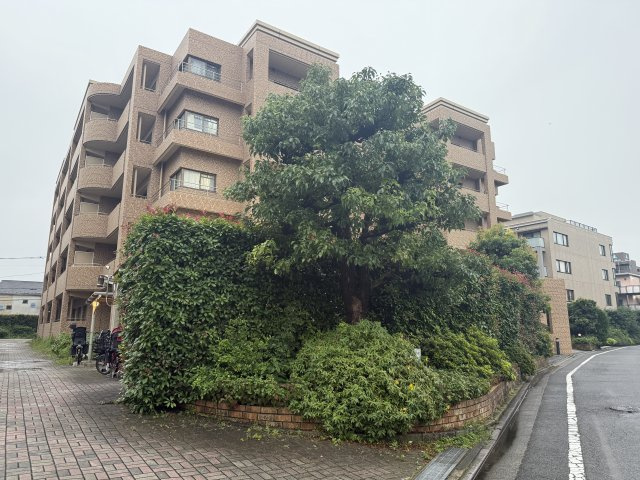 【外観】
