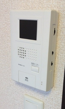レオネクストサニー秋桜のセキュリティ