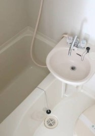 DaisonⅦ新浦安の浴室|他部屋参考写真