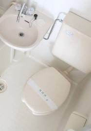 DaisonⅦ新浦安のトイレ|他部屋参考写真