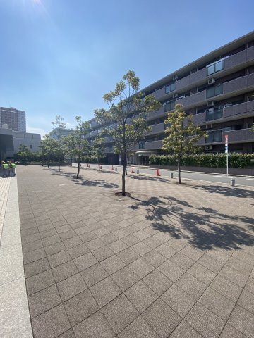 THE MIDLAND AVENUEの周辺