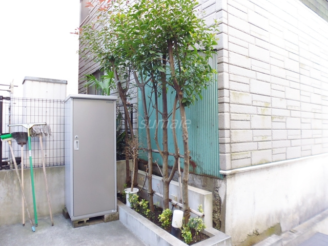 グランエッグス赤羽のその他|緑のワンポイント！植木があります♪