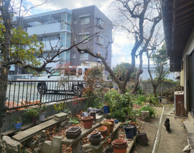 【庭】 | 福岡県糟屋郡志免町志免３丁目