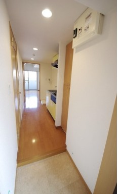 ｗｉｌｌＤｏ新座の玄関|※別部屋参考写真