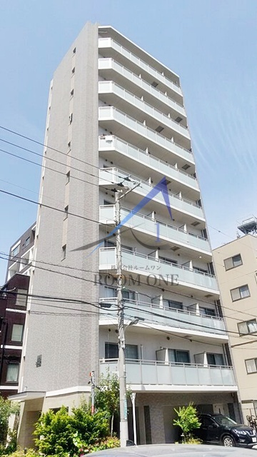 ヒガシカサイの外観|外観です。