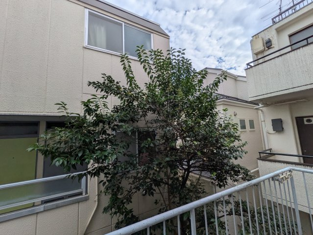 ジュネス大倉山の展望