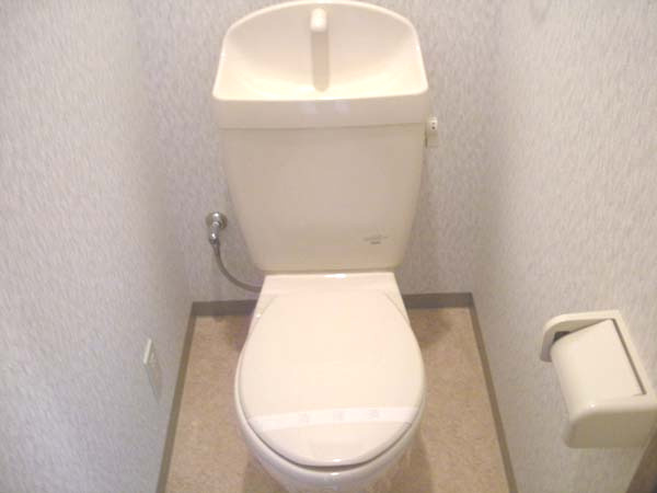 Ariavitaのトイレ|落ち着いた色調のトイレです