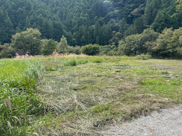 【外観】の画像