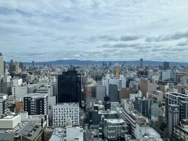 ブランズタワー南堀江の展望