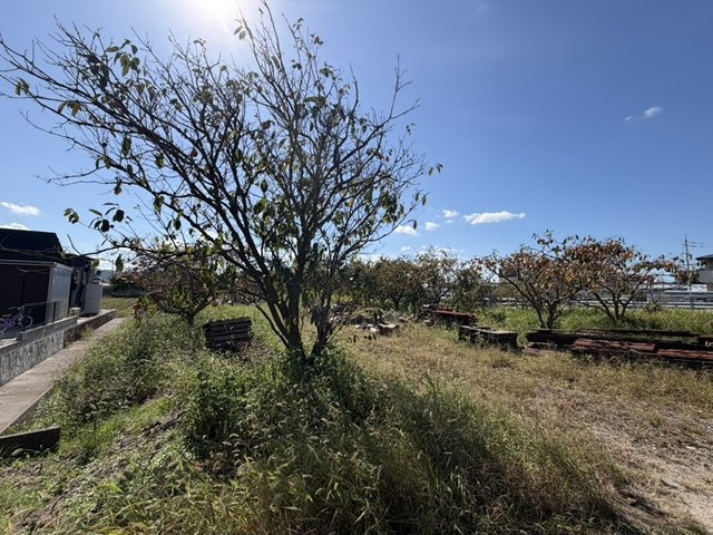 【外観】 | 斐川町富村売土地