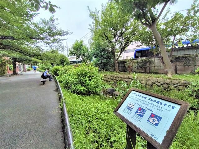 世田谷区代沢３丁目の賃貸マンションの周辺
