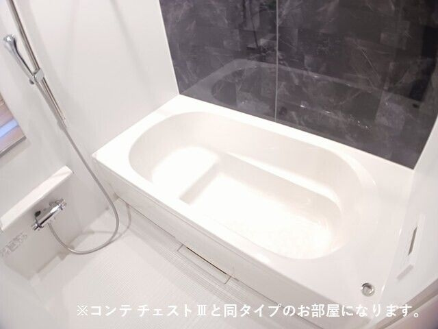 水口町秋葉アパート（０２８６４７４０１）の浴室