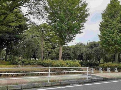 【周辺】 | ヴィラージュ | 吉羽公園まで300m