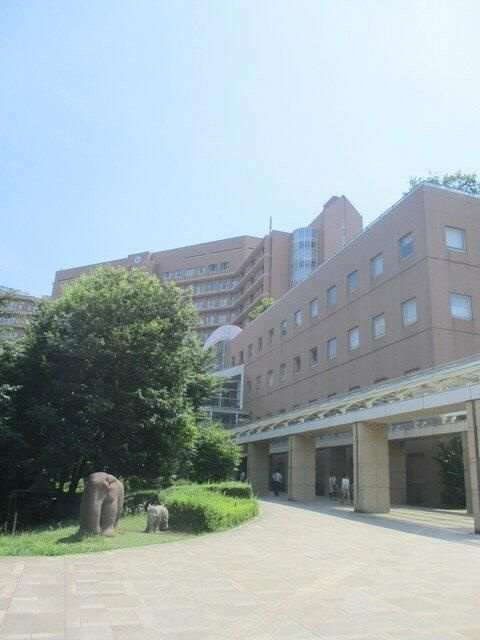 世田谷区砧５丁目の賃貸マンションのその他